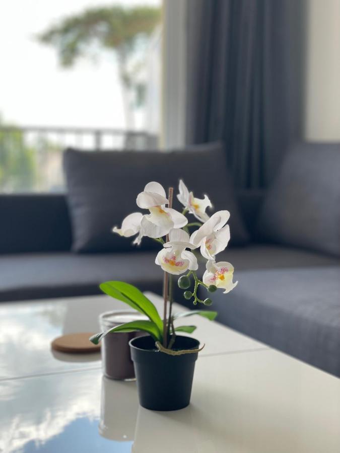 Na Wydmach Apartment *